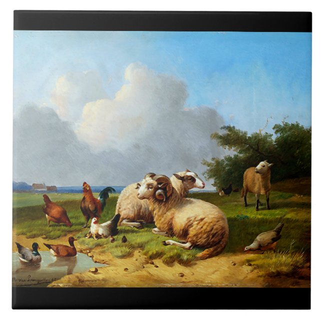 Carreau Le cru de pâturage de moutons penche la tuile de (Devant)