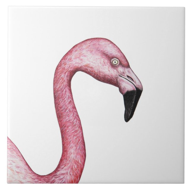 Carreau Le Flamant rose (Devant)