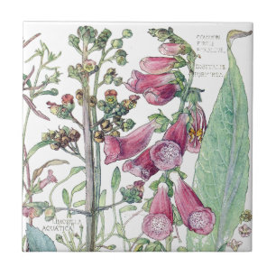 Carreau Le fleur sauvage botanique de digitale fleurit la