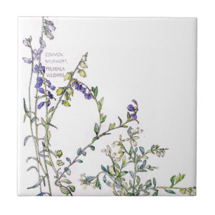 Carreau Le fleur sauvage vintage de Milkwort fleurit la