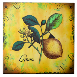 Carreau Le fruit de citron fleurit le cru de feuille