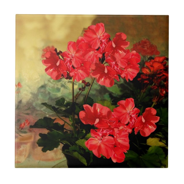 Carreau Le géranium rouge de style antique fleurit des (Devant)