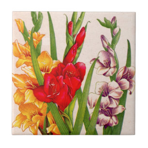 Carreau le gladiola fleurit des fleurs de gladioli