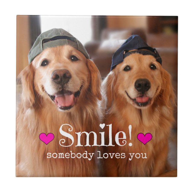 Carreau Le golden retriever quelqu'un vous aime (Devant)