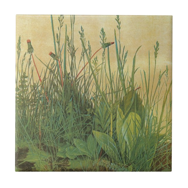 Carreau Le Grand (Grand) morceau de Turf par Albrecht Dure (Devant)