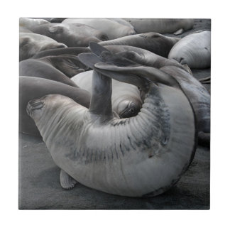 Carreau Le joint de sirène - tuile