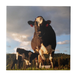 Carreau Le lait de la maman