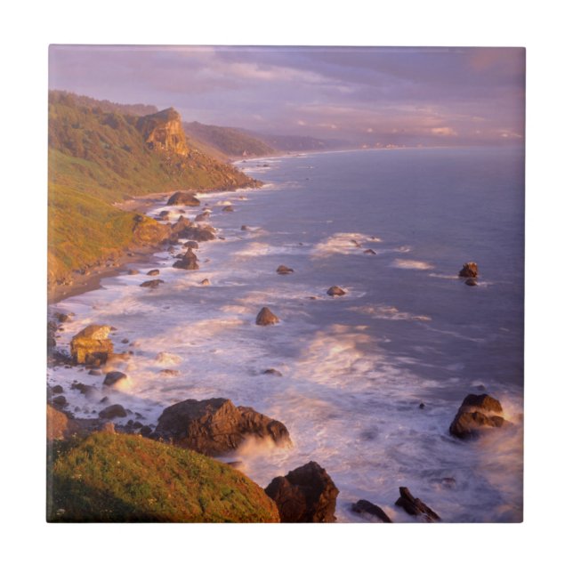 Carreau Le littoral de Redwoods, Californie (Devant)