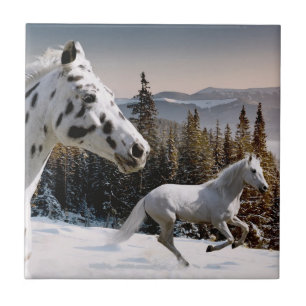 Carreau Le pays des merveilles d'hiver