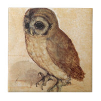 Le petit hibou par Albrecht Durer