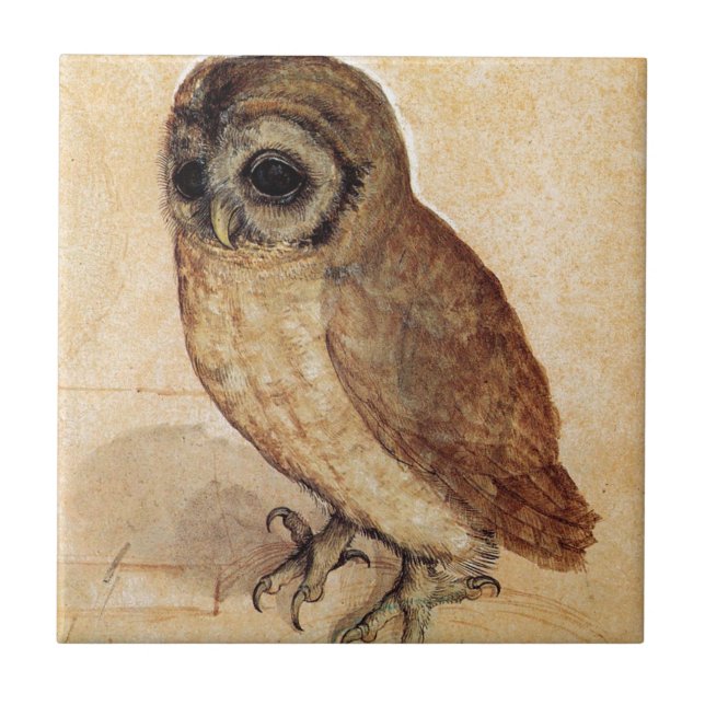 Carreau Le petit hibou par Albrecht Durer (Devant)