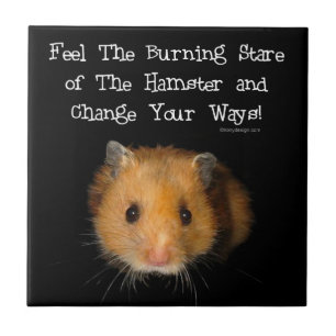 Carreau Le regard fixe de hamster