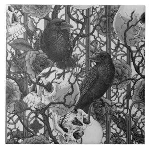 Carreau Le secret de Raven. Illustration gothique sombre e