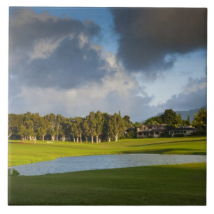 Carreau Le terrain de golf Makai à Princeville