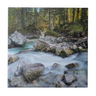 Carreau Le torrent Ramsauer Ache