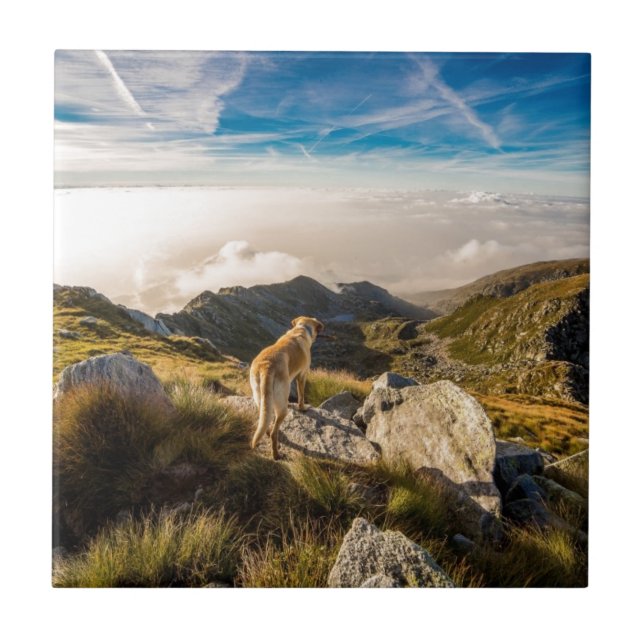 Carreau Le voyage (Devant)