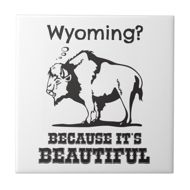 Carreau Le Wyoming ? Parce que c'est beau (Devant)