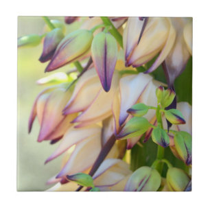 Carreau le yucca fleurit la tuile