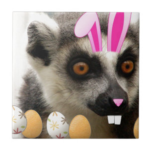 Carreau Lemur Easter