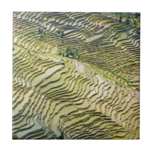 Carreau Les célèbres terrasses de riz yuanyang - Yunnan, C