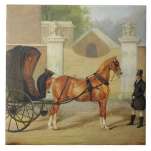 Carreau Les chariots des messieurs : Un cabriolet,