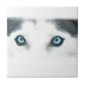 Carreau Les chiens observés par bleu peuvent voir le vent