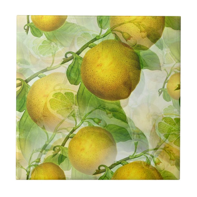 Carreau Les citrons (Devant)