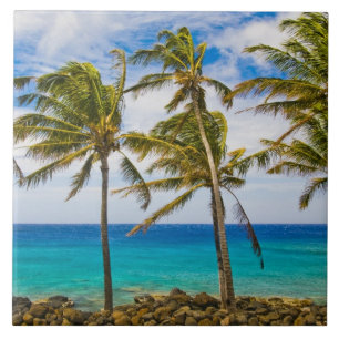 Carreau Les cocotiers (Cocos nucifera) se balancent dans