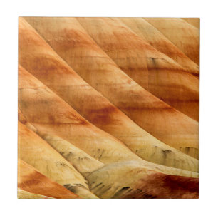 Carreau Les collines peintes dans les lits de fossiles de