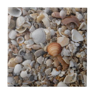 Carreau Les Coquillages En Bord De Mer