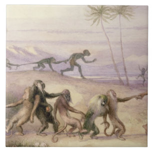 Carreau Les façons et les coutumes des singes