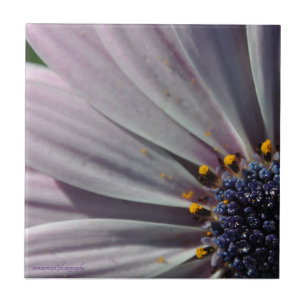Carreau Les fleurs à l'intérieur
