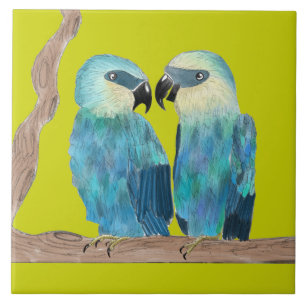 Carreau Les macaws de Spix sur un carrelage en céramique -