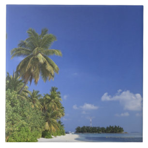 Carreau Les Maldives, atoll de Meemu, île de Medhufushi