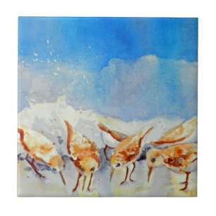 Carreau Les oiseaux de plage Watercolor