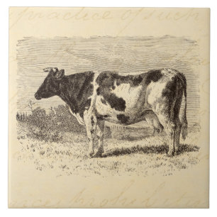 Carreau Les rétros vaches vache néerlandaise vintage à