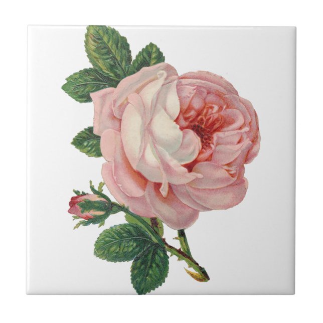 Carreau Les roses sont roses (Devant)