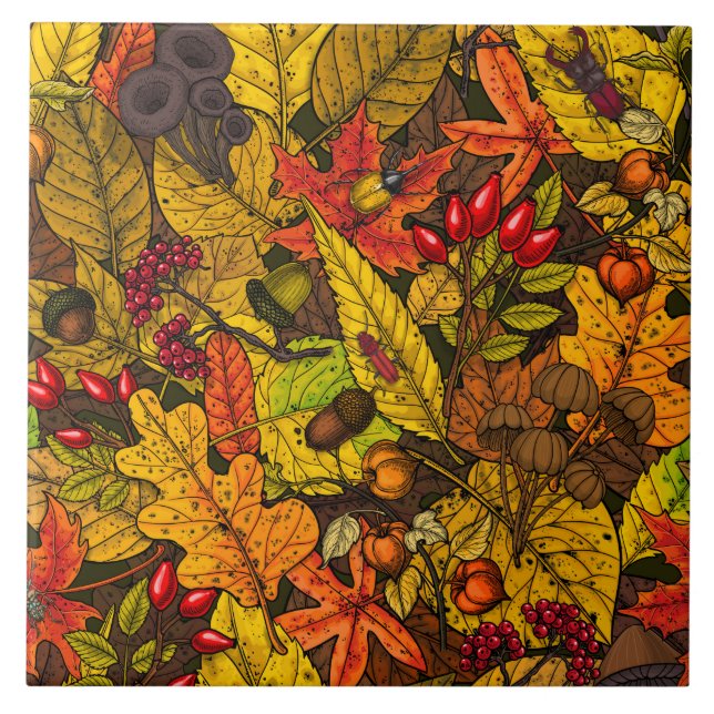 Carreau Les trésors d'automne (Devant)
