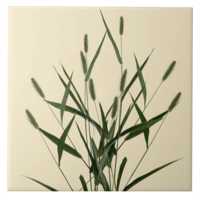 Carreau Les trésors texturaux de l'été sur un carrelage en (Devant)