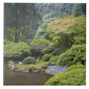 Carreau L'étang de promenade avec le pont de la Lune