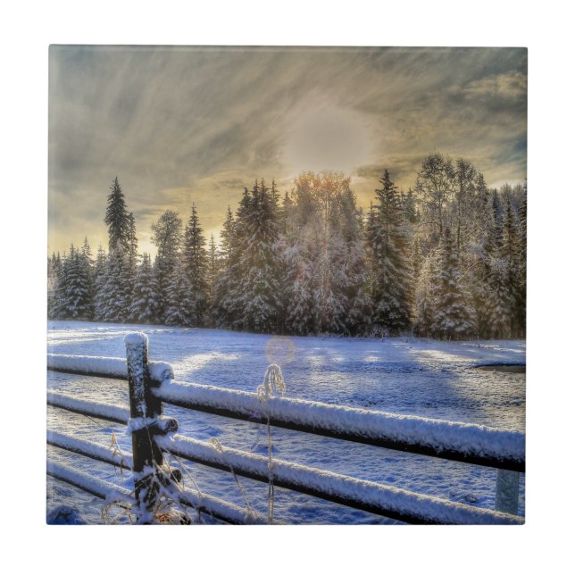 Carreau Lever de soleil sur un pâturage d'hiver en neige (Devant)