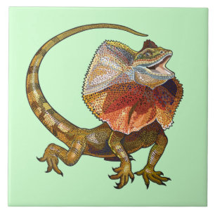 Carreau lézard à col cassé