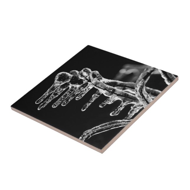 Carreau l'hiver (Côté)