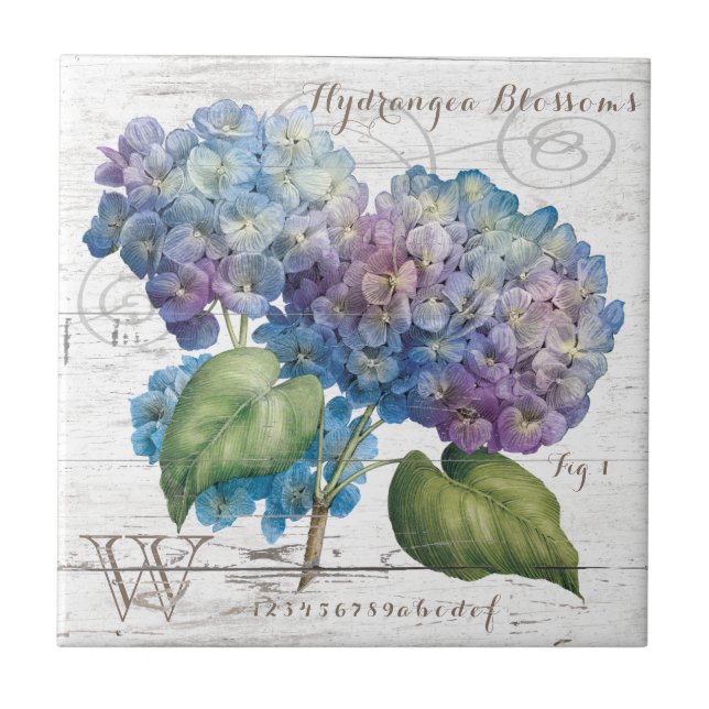 Carreau L'hortensia fleurit monogramme (Devant)