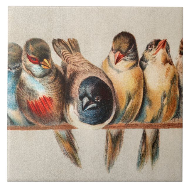 Carreau Ligne d'oiseaux et de colombes (Devant)