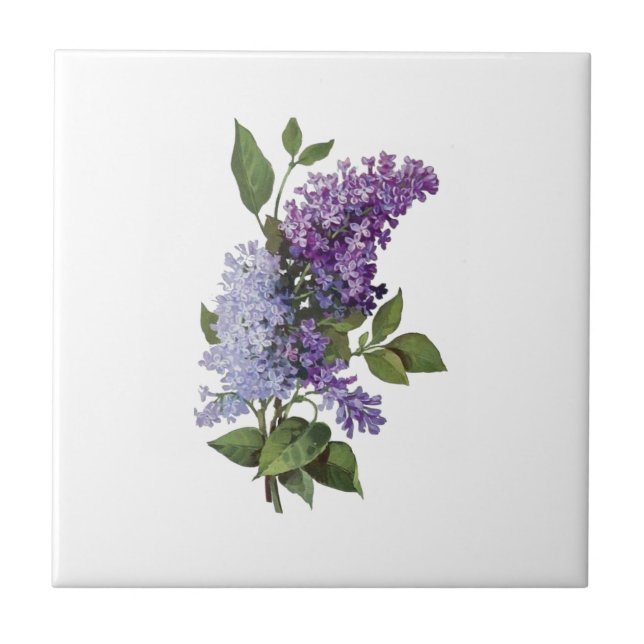 Carreau Lilacs frais - French Country Home Décor (Devant)