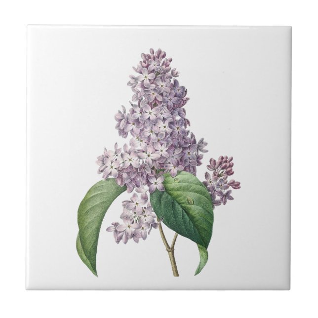 Carreau lilas vintage céramique (Devant)