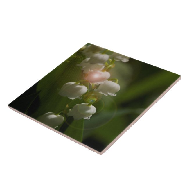 Carreau Lily De La Vallée Florale (Côté)