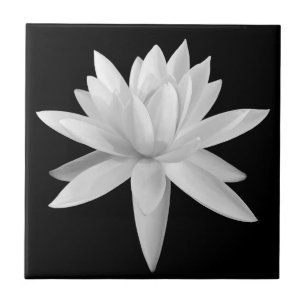Carreau Lily Lotus Photographie d'art noir et blanc