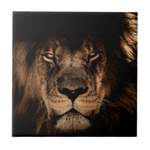 Carreau lion d'afrique yeux fermés